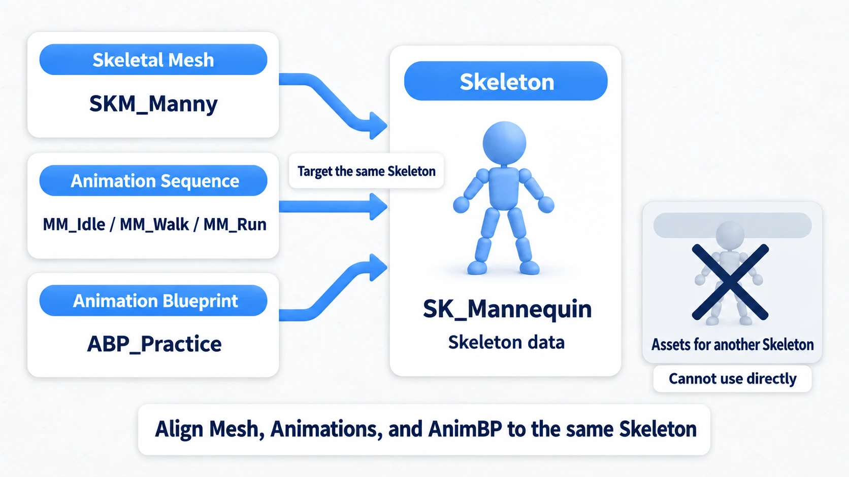 Skeletal Mesh, Animation Sequence, and Animation Blueprint all pointing at the same Skeleton