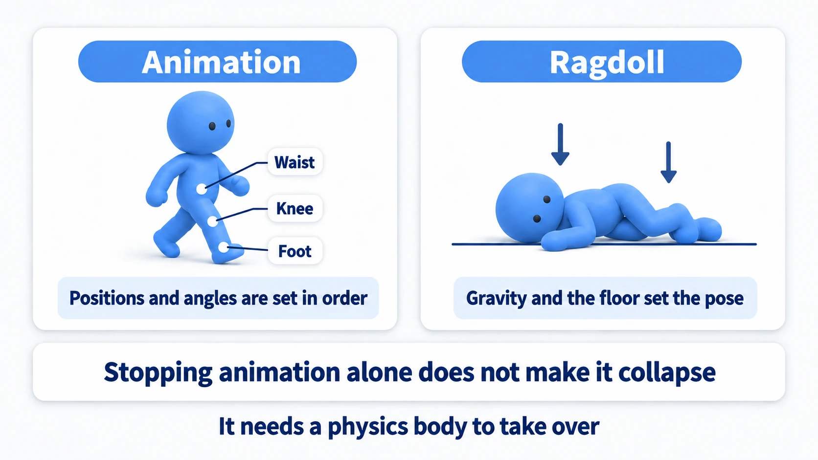 Animation deciding hip, knee, and foot positions in sequence while a ragdoll's pose is decided by gravity and the floor