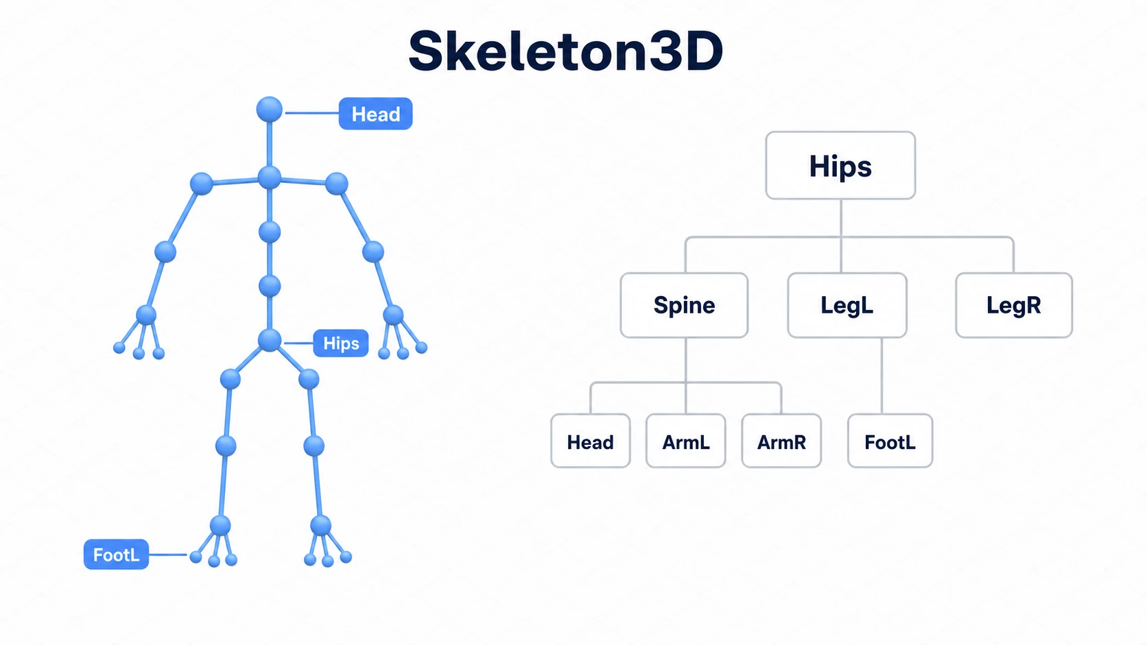 Skeleton3Dのボーン階層の図。人型の骨格と、Hipsを親にSpineやLegが枝分かれするボーンのツリー構造
